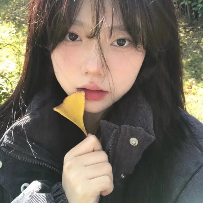 坎坎舞